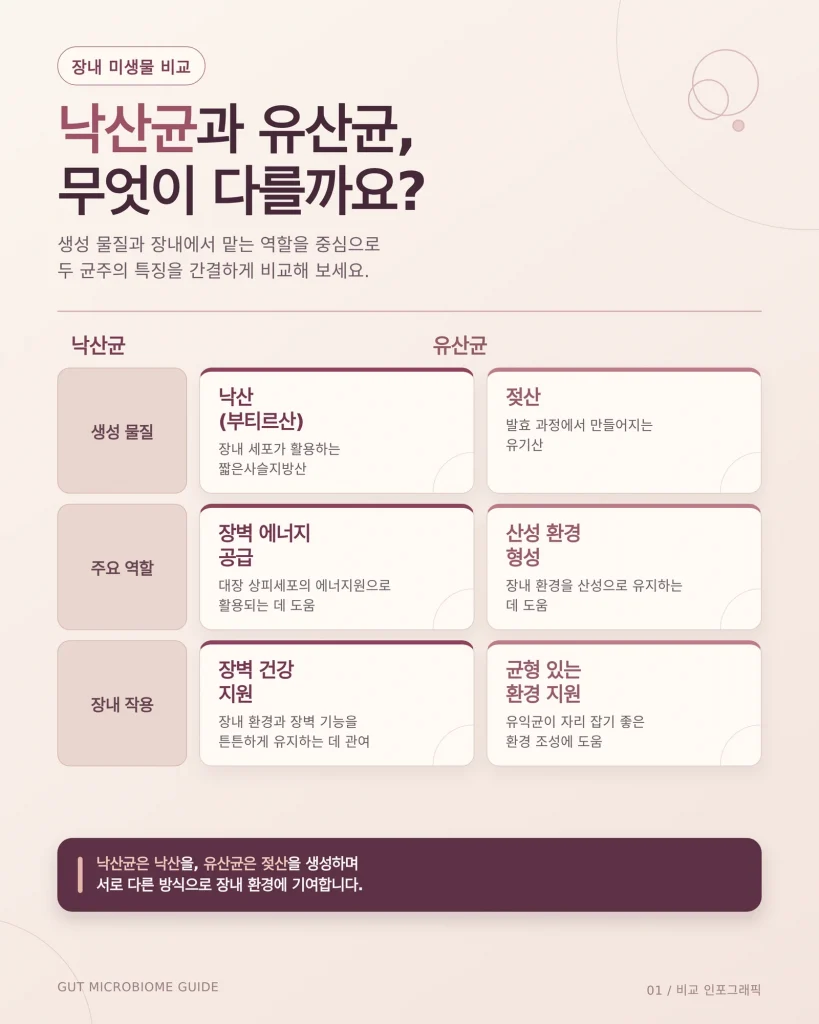 낙산균과 장 건강 생활 정보 이미지