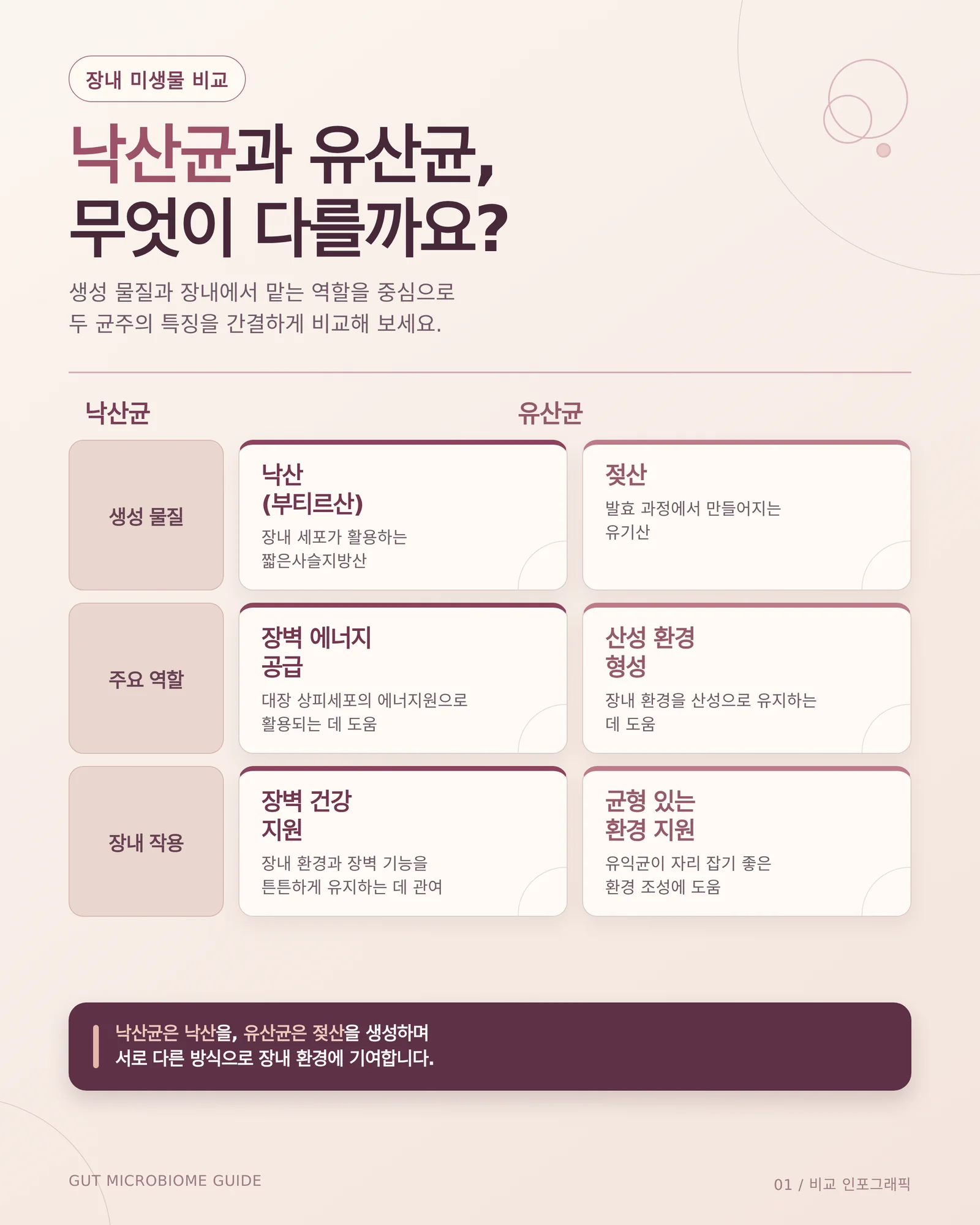 낙산균 장건강